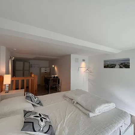 Charmant Duplex, Proche Plage Et Commerces A Saint-jean-de-luz, Ideal Pour Des Vacances Reussies! - Fr-1-239-861 Saint-Jean-de-Luz